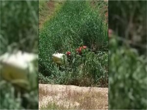 Traktör dere yatağına düştü: 1 ölü 1 ağır yaralı
