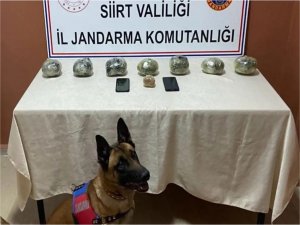 Siirtte uyuşturucu operasyonu: 18 tutuklama