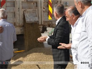 Mardin ovasında ilk arpa hasadı yapıldı