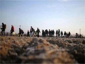 Göç İdaresi Başkanlığı düzensiz göçle ilgili son durumu paylaşıtı