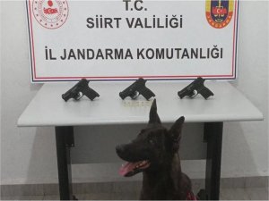 Silah ve mühimmat kaçakçılığı yapan şahıs yakalandı