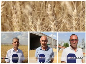 Mardinli çiftçiler alım fiyatlarından memnun değil