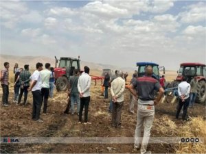 Mardinde ekili tarlada çıkan yangında mahsul kül oldu