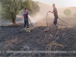 Mezarlıkta başlayan yangın buğday tarlalarına sıçradı