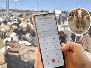 Kurbanlıkların bilgileri, TarımCebimde uygulamasından sorgulanabilecek