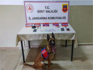 Siirt’te düzenlenen uyuşturucu operasyonunda 5 kişi tutuklandı