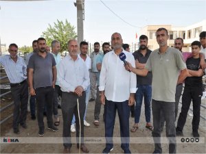 Hayvan yetiştiricileri ile kasaplar yeni mezbahane açılmasını istedi