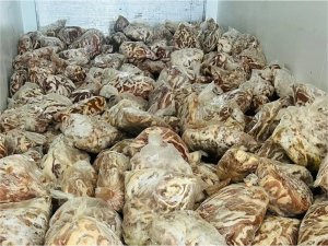 Diyarbakırda bir tırda 5 ton kaçak et ele geçirildi