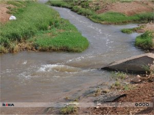Vahşi sulamaya karşı uyarı: Ürüne ve toprağa ciddi zararı var