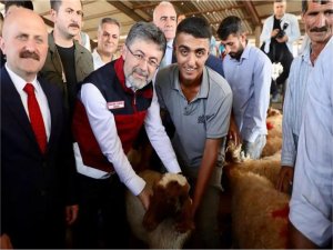 Depremden etkilenen illerdeki yetiştiricilere hayvan yardımı yapıldı