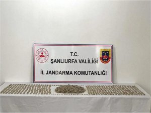 Roma dönemine ait yaklaşık 5 bin obje ele geçirildi
