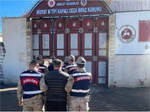 Büyükbaş hayvan hırsızlığı iddiasıyla 4 kişi gözaltına alındı