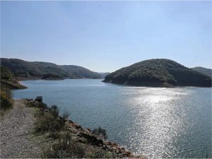 İstanbul barajlarında doluluk oranı yüzde 50yi geçti