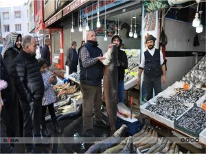 Balık satıcıları bolluktan ve satışlardan memnun