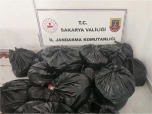 Sakaryada bir tırda 700 kilo at ve eşek eti ele geçirildi 