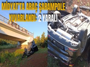 Midyatta araç şarampole yuvarlandı: 2 yaralı