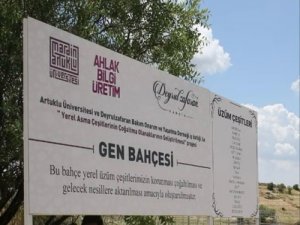 Mardin’de 18 Yerel Üzüm Çeşidinin Gen Bankası Oluşturuluyor