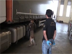 Kapıkulede 635 kilogram esrar ele geçirildi