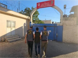 Mardin’de 11 yıldır aranan şahıs sahte kimlikle garsonluk yaparken yakalandı