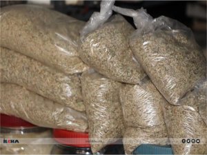 Dört mevsim tüketilen Mardin’in endemik bitkisi: İkşut otu