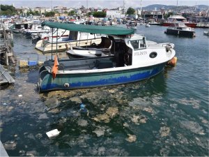 Marmara Denizinde müsilaj denetimleri: 10,3 milyon TL ceza
