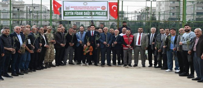 Mardin’de Zeytin Üretimine Destek 8 Bin Zeytin Fidanı Dağıtıldı