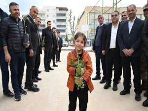 Mardin’de Zeytin Üretimine Destek 8 Bin Zeytin Fidanı Dağıtıldı