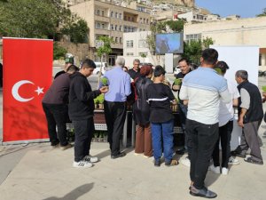 Mardin Büyükşehir Belediyesi 60 bin fesleğeni vatandaşlara dağıttı