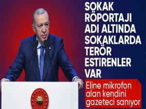 Cumhurbaşkanı Erdoğan: Eline mikrofon alıp sokağa çıkan herkes gazeteci değildir