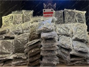 Hamzabeyli Sınır Kapısı’nda 115 kilogram uyuşturucu ele geçirildi: 2 tutuklama