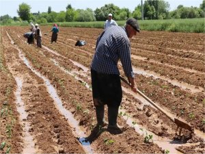 Çiftçilere destekleme ödemeleri başladı  