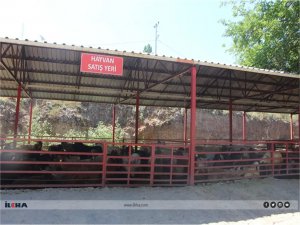 Kurban pazarlarında fiyatlar düşük olmasına rağmen talep azaldı