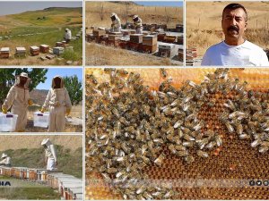 Batmanda bal sezonu başladı: 240 tonun üzerinde üretim bekleniyor