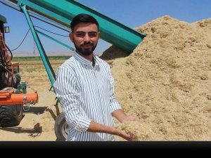 Mardin Samancılık yaz-kış saman tedarikini sürdürüyor