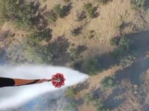 Şırnak’ta ormanlık alanda çıkan yangın kontrol altına alındı