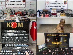 Şırnak’ta asayiş operasyonları: 97 gözaltı