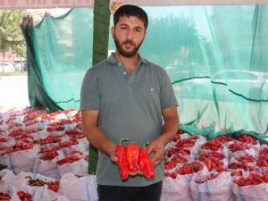 Şanlıurfa’da isot sezonuyla damlar yeniden kırmızıya büründü