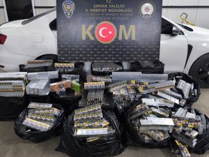 Şırnak’ta narkotik, asayiş ve kaçakçılık operasyonları: 31 gözaltı