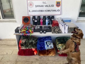 Şırnak’ta asayiş operasyonları: 145 gözaltı