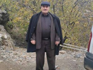 Ceviz silkelemek için çıktığı ağaçtan düşen adam hayatını kaybetti