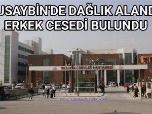  Nusaybin ilçesinde dağlık bölgedebir erkeğe ait ceset bulundu