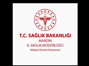 Hekimlere yönelik eğitim programı düzenlendi