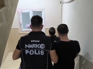 Şırnak merkezli narkotik operasyonunda 14 gözaltı
