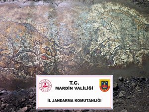 DERİKTE 1500 YILLIK TARİHİ MOZAİK ELE GEÇİRİLDİ