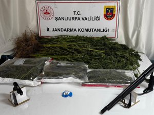 Şanlıurfa’da uyuşturucu operasyonu: Silah ve uyuşturucu ele geçirildi