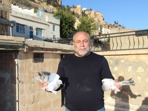 Kadim Kentin Kadim Mirası: Mardin güvercini