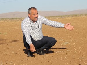 Kuraklığın vurduğu yerlerde çiftçiler devletten destek bekliyor