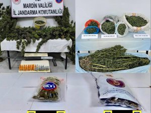 Jandarmadan Uyuşturucu Tacirlerine Ağır Darbe