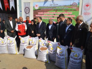 Siirt’te çiftçilere 203 ton sertifikalı kırmızı mercimek tohumu dağıtıldı