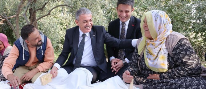 Vali Akkoyun Derik ilçesinde Zeytin Hasadına katıldı